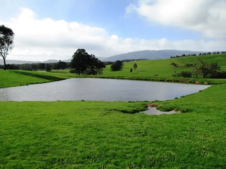 Fifth view of Homely rural property listing, 101 Yellow Creek Road, Taggerty VIC 3714