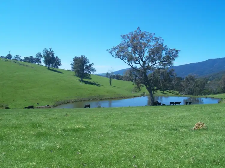 Main view of Homely land listing, Lots 3 & 4/430 Warrigal Range Rd, Brogo NSW 2550