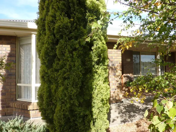 Fifth view of Homely house listing, 20 MEMORIAL COURT, Kersbrook SA 5231