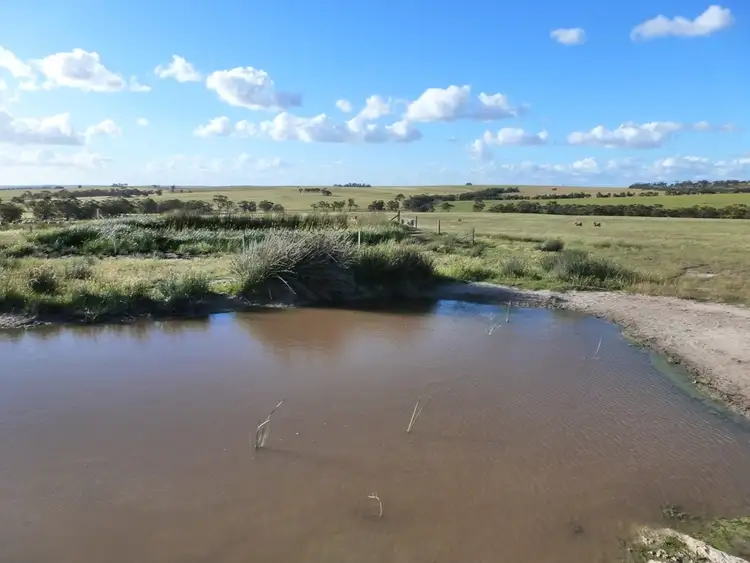 Sixth view of Homely rural property listing, 2252 Northam-Pithara Rd, Northam WA 6401