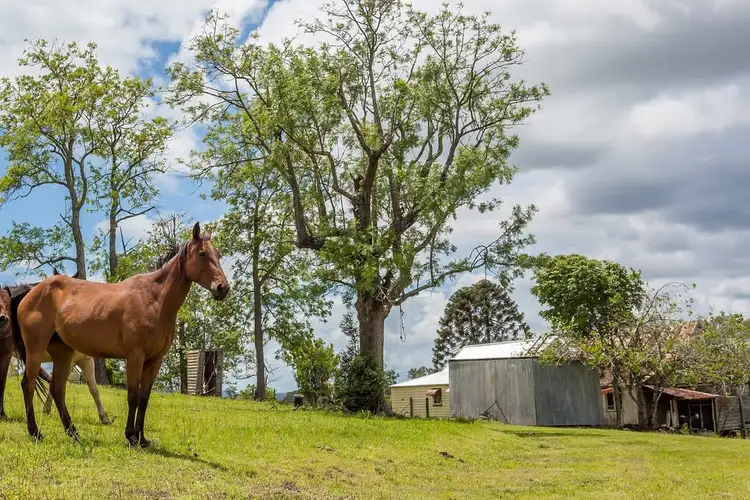 Second view of Homely house listing, 104 Barsby Road, Imbil QLD 4570