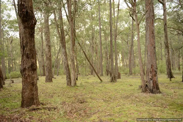 Sixth view of Homely house listing, 47 Lorraine Court, Sarsfield VIC 3875