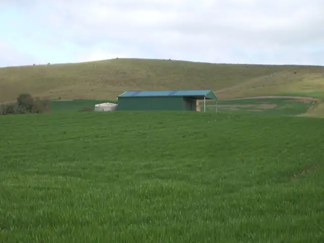 Main view of Homely rural property listing, - Section 299 Eudunda Road, Eudunda SA 5374