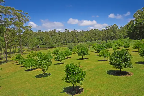 Fifth view of Homely rural property listing, 226 Bawley Point Road, Bawley Point NSW 2539