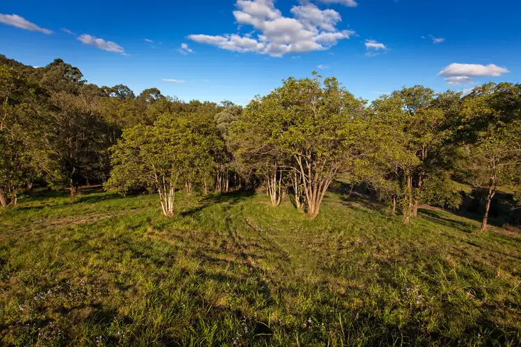 Second view of Homely land listing, 6/56 Kentish Road, Kiels Mountain QLD 4559