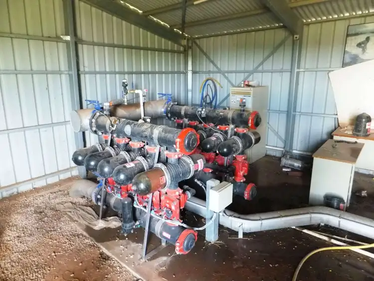 Fourth view of Homely rural property listing, . Edey Road (Vineyard), Red Cliffs VIC 3496