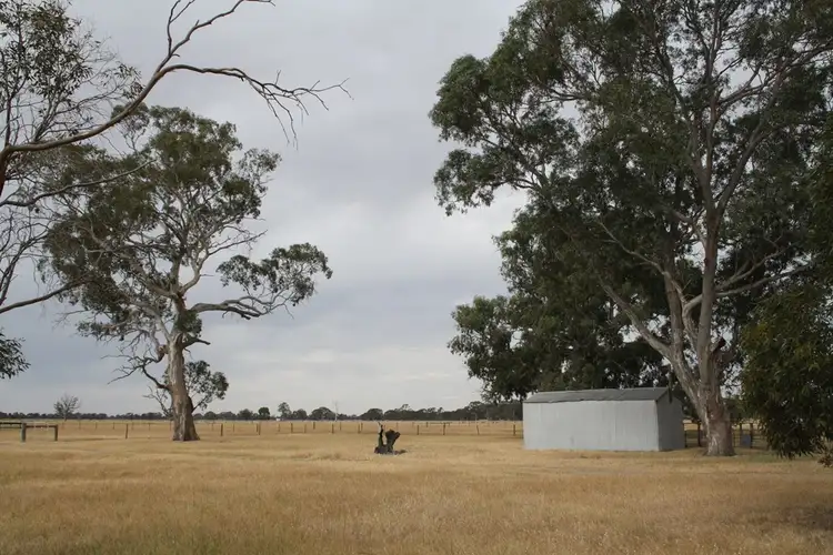 Fourth view of Homely rural property listing, 250 Apsley - Natimuk Road, Apsley VIC 3319