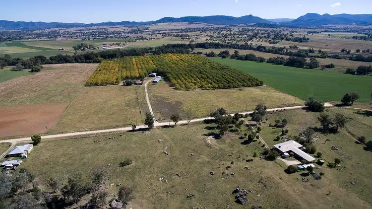 Third view of Homely rural property listing, 294 ORMANS LANE, Kootingal NSW 2352