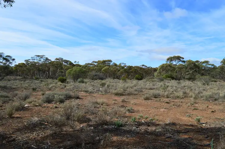 Second view of Homely rural property listing, - Section 273, Hundred of Anna, Blanchetown SA 5357