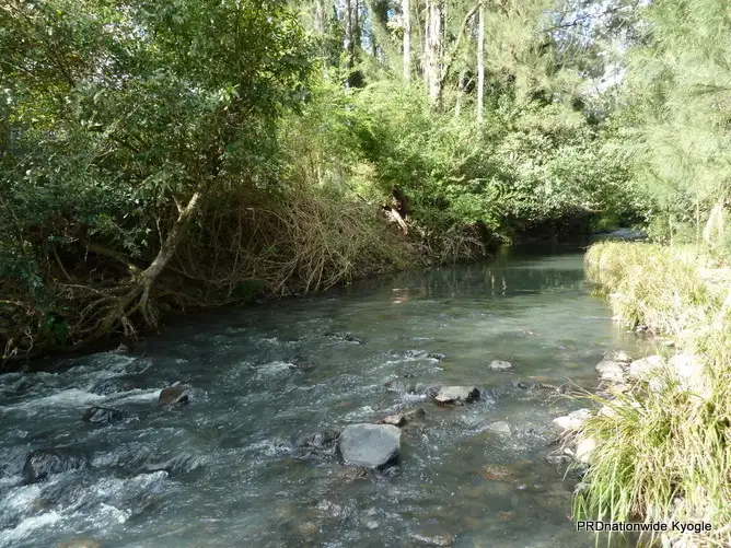 Fourth view of Homely house listing, 776 Green Pigeon Road, Kyogle NSW 2474