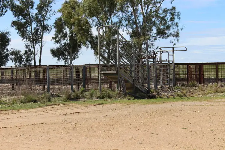 Fifth view of Homely rural property listing, 1494 GARRA SOUTH ROAD, Parrakie SA 5301