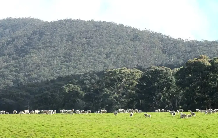 CA 19A Mountain Hut Road, Amphitheatre VIC 3468