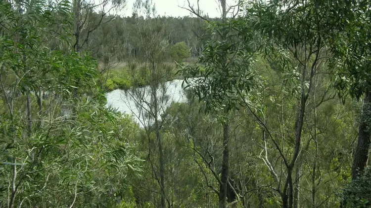 Sixth view of Homely land listing, 74 Narrawallee Ck Rd, Lake Conjola NSW 2539