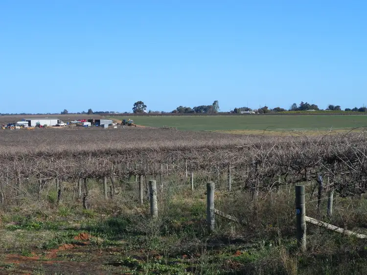 Sixth view of Homely rural property listing, Anderson & Derrick Roads, Loxton North SA 5333