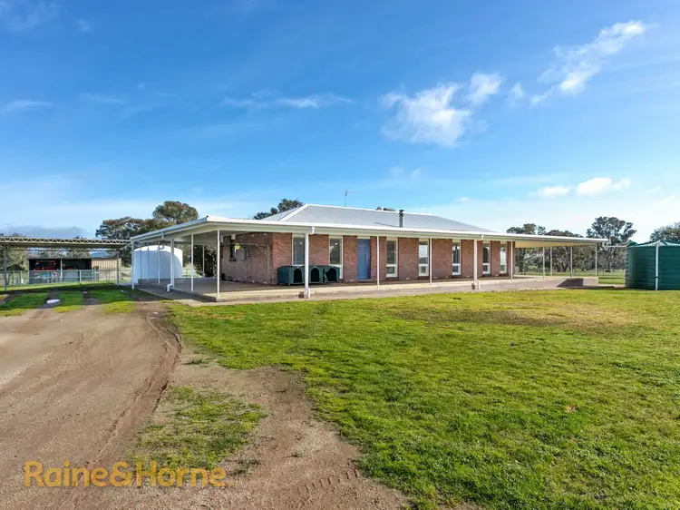 Main view of Homely house listing, 216 Ashfords Road, Gregadoo NSW 2650