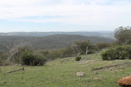 Third view of Homely rural property listing, 1972 Triamble Road, Mudgee NSW 2850