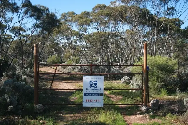 55 Bliss Road, Truro SA 5356