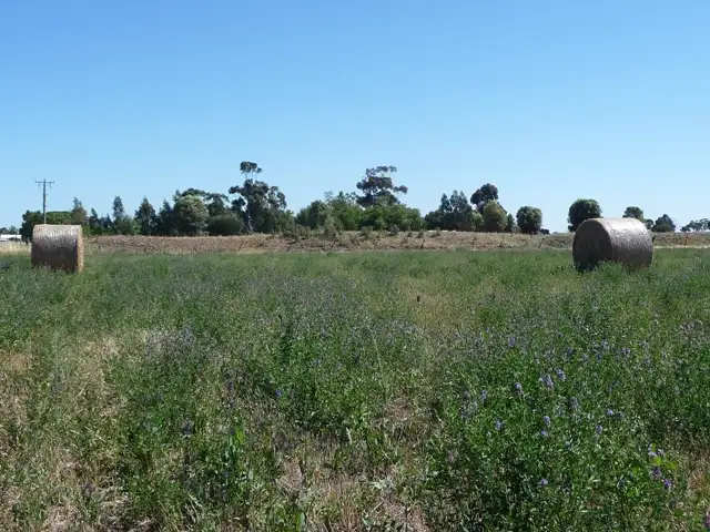 Second view of Homely rural property listing, 141 Hughes Rd. Quantong via, Horsham VIC 3400