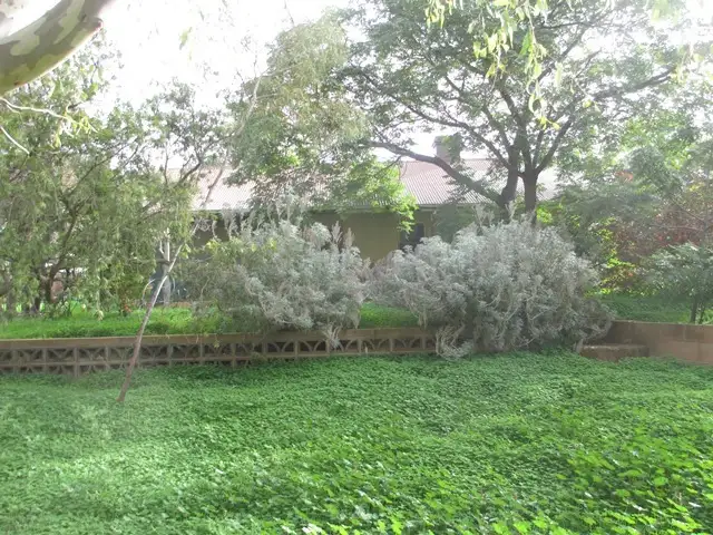 Third view of Homely house listing, 42/44 High Street, Gladstone SA 5473
