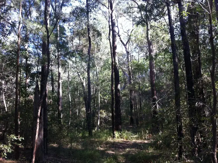Fourth view of Homely land listing, lot 19 and 20 Creevey Drive, Captain Creek QLD 4677