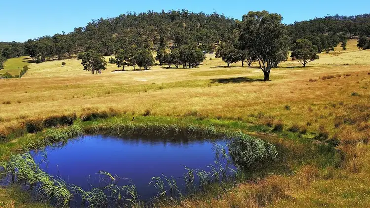 Fifth view of Homely house listing, 831 Native Corners Road, Campania TAS 7026