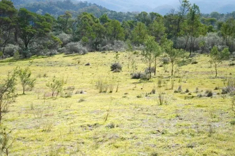 Seventh view of Homely rural property listing, 585 Newfoundland Rd, Taralga NSW 2580