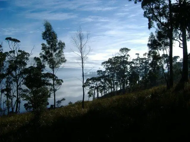 Seventh view of Homely land listing, 30 Youngs Road, Bruny Island TAS 7150
