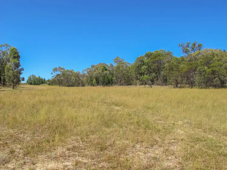 Second view of Homely rural property listing, 480 Ridge Road, Cooks Gap NSW 2850