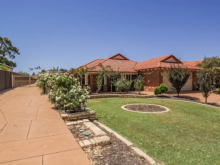 Main view of Homely house listing, 19 Bandicoot Ramble, Baldivis WA 6171