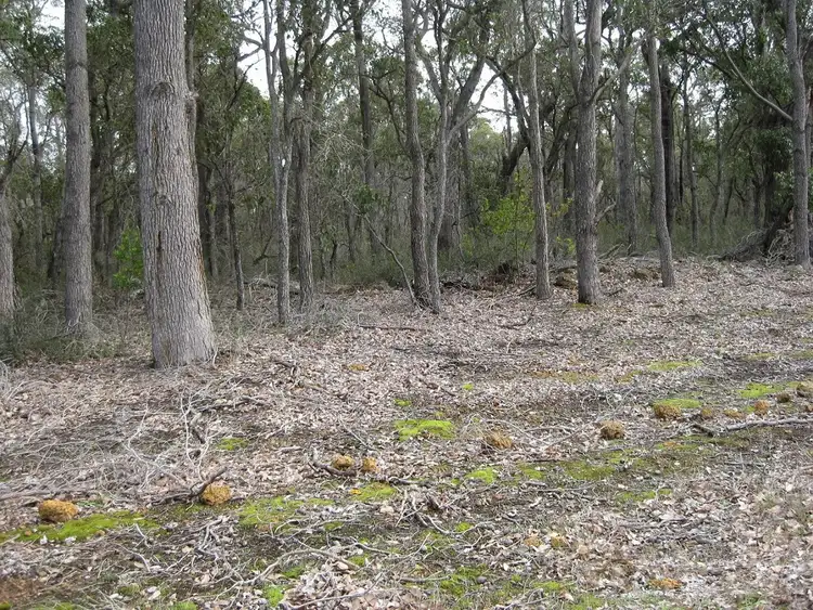 Second view of Homely rural property listing, Lot 3068 Spencer Road, Narrikup WA 6326