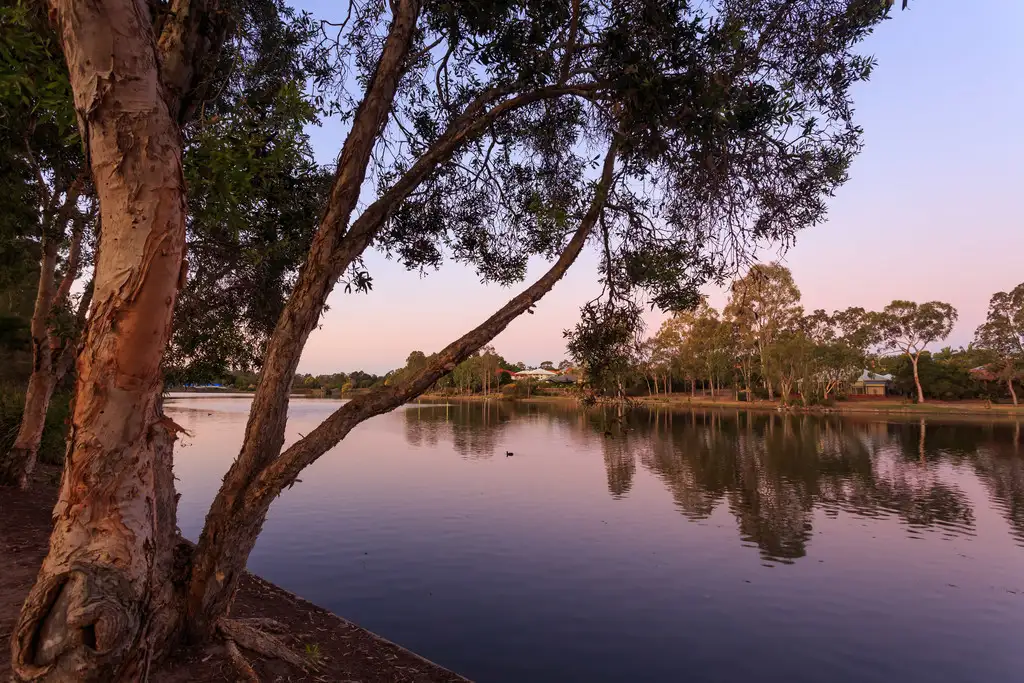 Main view of Homely house listing, 17 Alexandrina Cct, Forest Lake QLD 4078