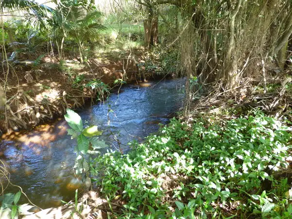 Fourth view of Homely rural property listing, Address available on request