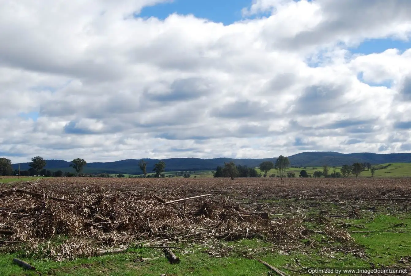 Main view of Homely rural property listing, 00 Stockdale-Fernbank Road, Stockdale VIC 3862