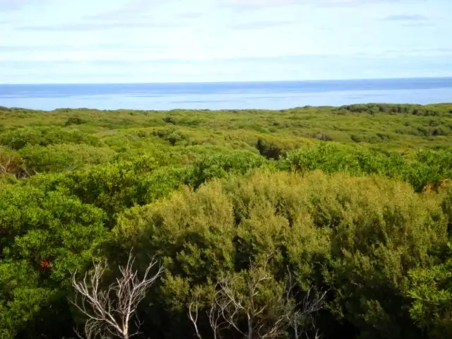 Main view of Homely land listing, Lot 1 North Road, Bungaree, King Island TAS 7256