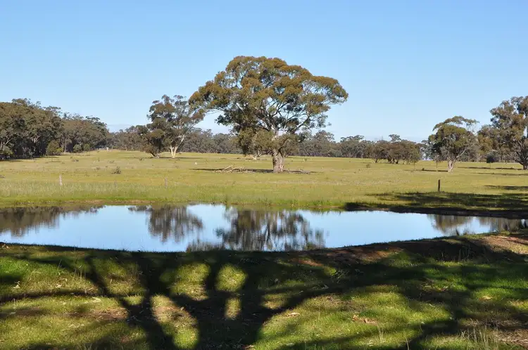 Second view of Homely rural property listing, 345 Angle Rd, Murchison VIC 3610