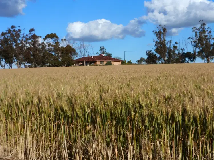 2252 Northam-Pithara Rd, Northam WA 6401