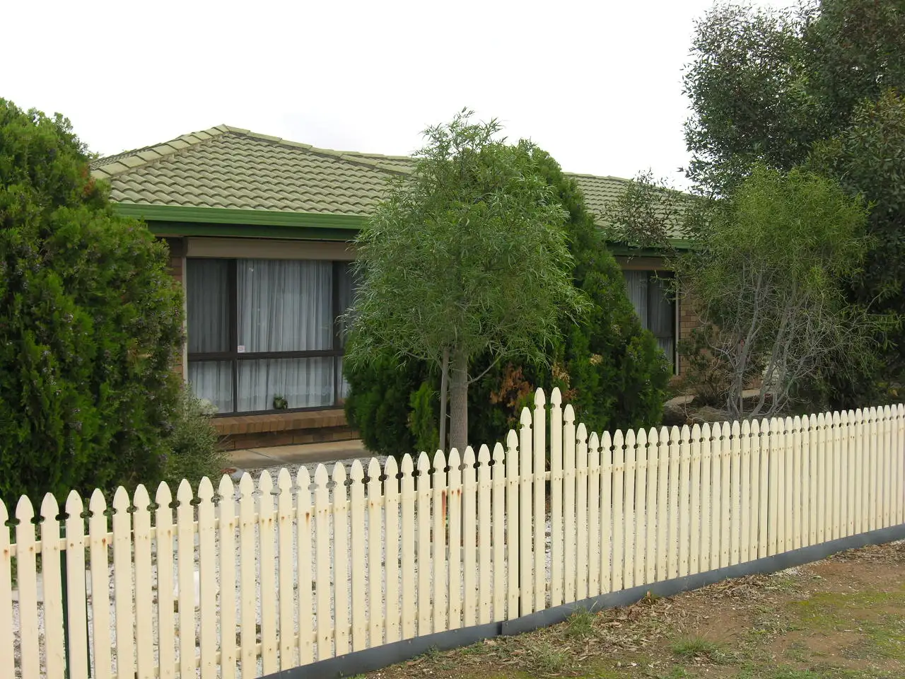 Main view of Homely house listing, 49 Haines Road, Willaston SA 5118
