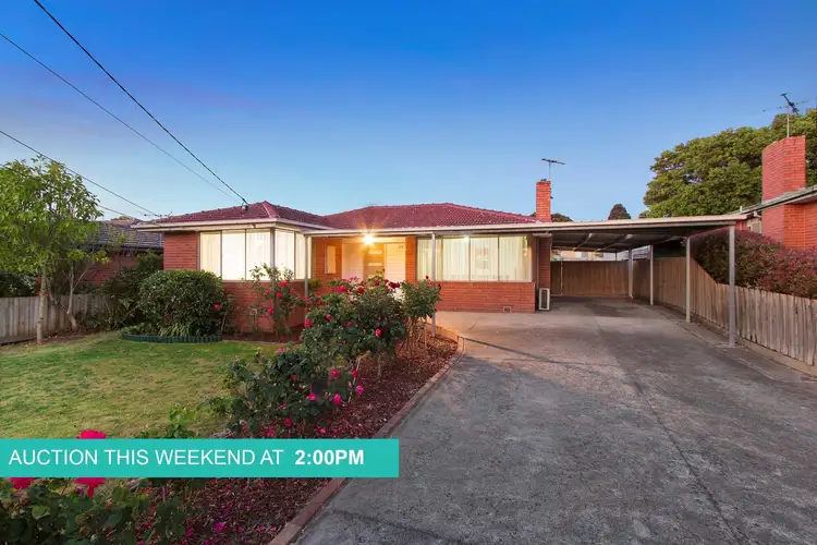 19 Tamala Avenue, Notting Hill VIC 3168