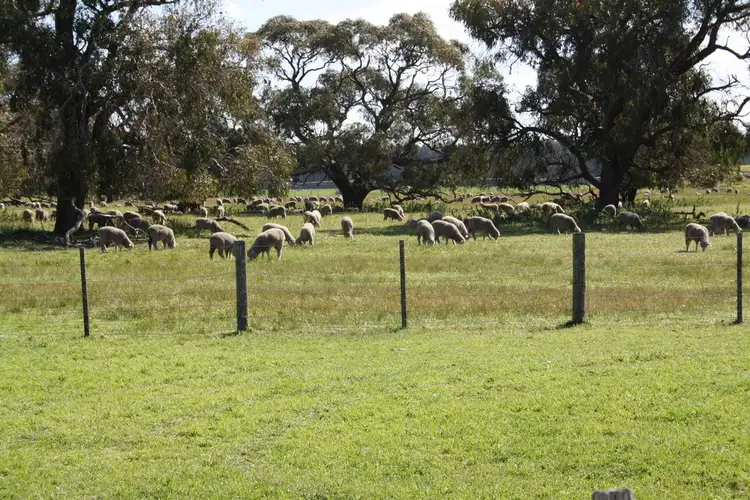 Fifth view of Homely rural property listing, 00 Cluain Lane, Lucindale SA 5272
