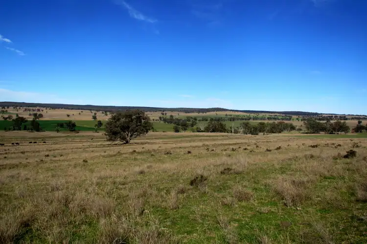 Seventh view of Homely rural property listing, "Uliman" Purlewaugh Rd, Coonabarabran NSW 2357