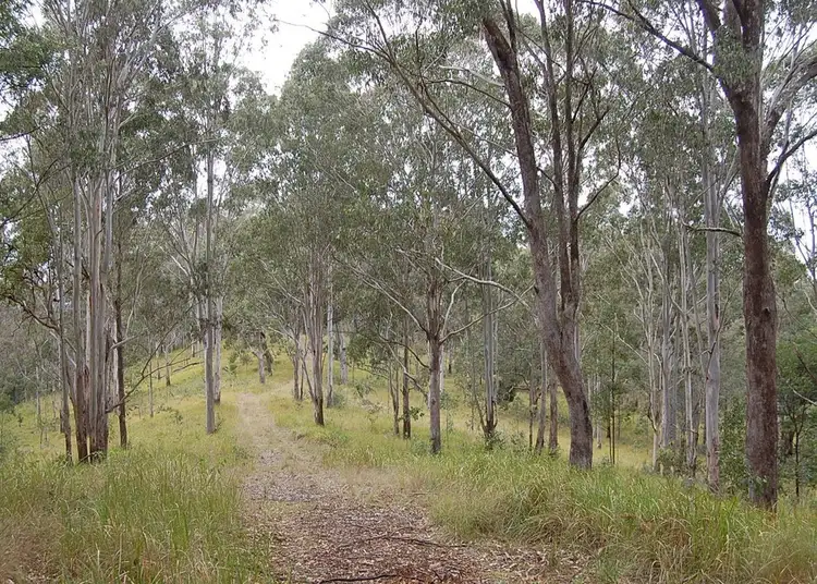Fourth view of Homely rural property listing, 16401 Clarence Way, Bean Creek NSW 2469
