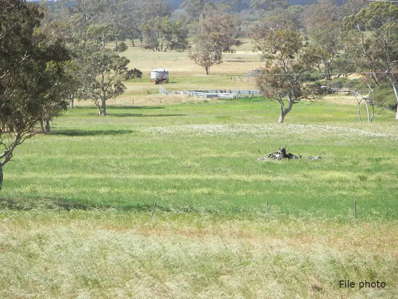 Main view of Homely rural property listing, 0 "Jelmagh", Lochaber SA 5271