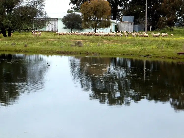 Second view of Homely rural property listing, 153 LEEWANG ROAD, Forbes NSW 2871