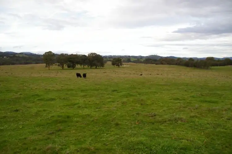 Fifth view of Homely rural property listing, 280 Shaws road, Merton VIC 3715