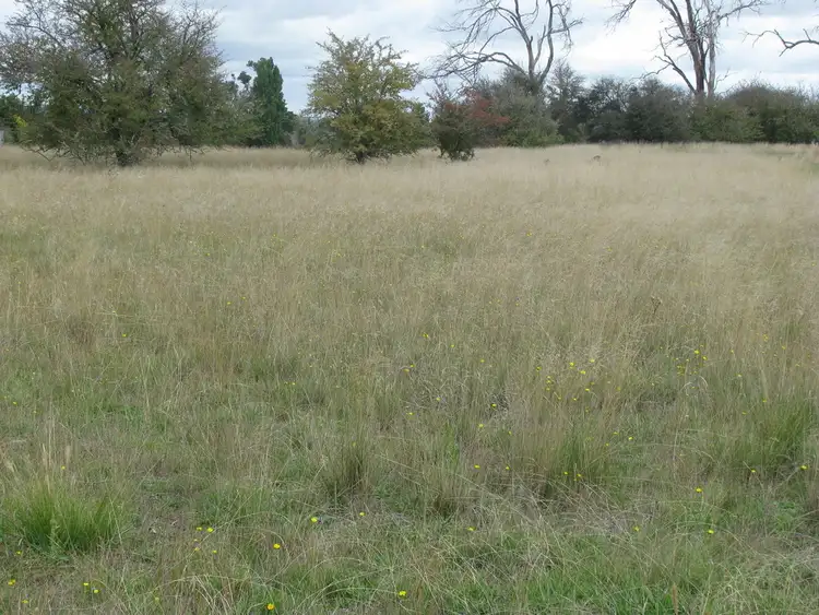 Sixth view of Homely rural property listing, Lot 2 Burns road, Armidale NSW 2350