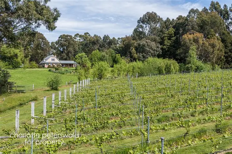 Fifth view of Homely house listing, 3757 Channel Highway, Birchs Bay TAS 7162