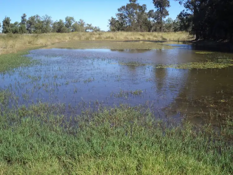 Fifth view of Homely rural property listing, 14635 "Camilaroi", Condamine QLD 4416