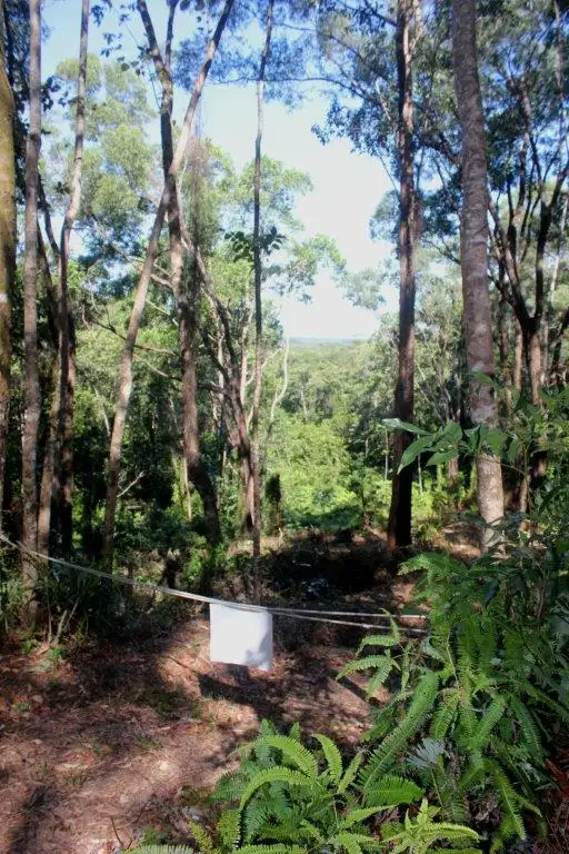 Fifth view of Homely land listing, Lot 38 Ronald Road FOREST CREEK, Daintree QLD 4873