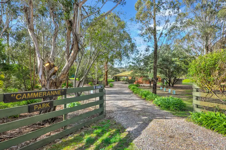 Second view of Homely house listing, 131 O'loughlins rd, Durham Lead VIC 3352