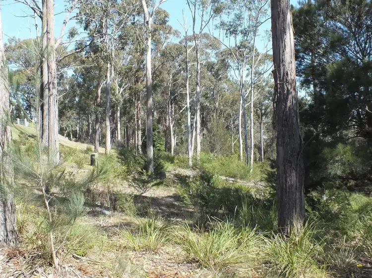 Second view of Homely rural property listing, Lot 26 Emerald Crescent, Wallagoot NSW 2550